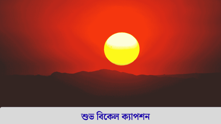 শুভ বিকেল ক্যাপশন
